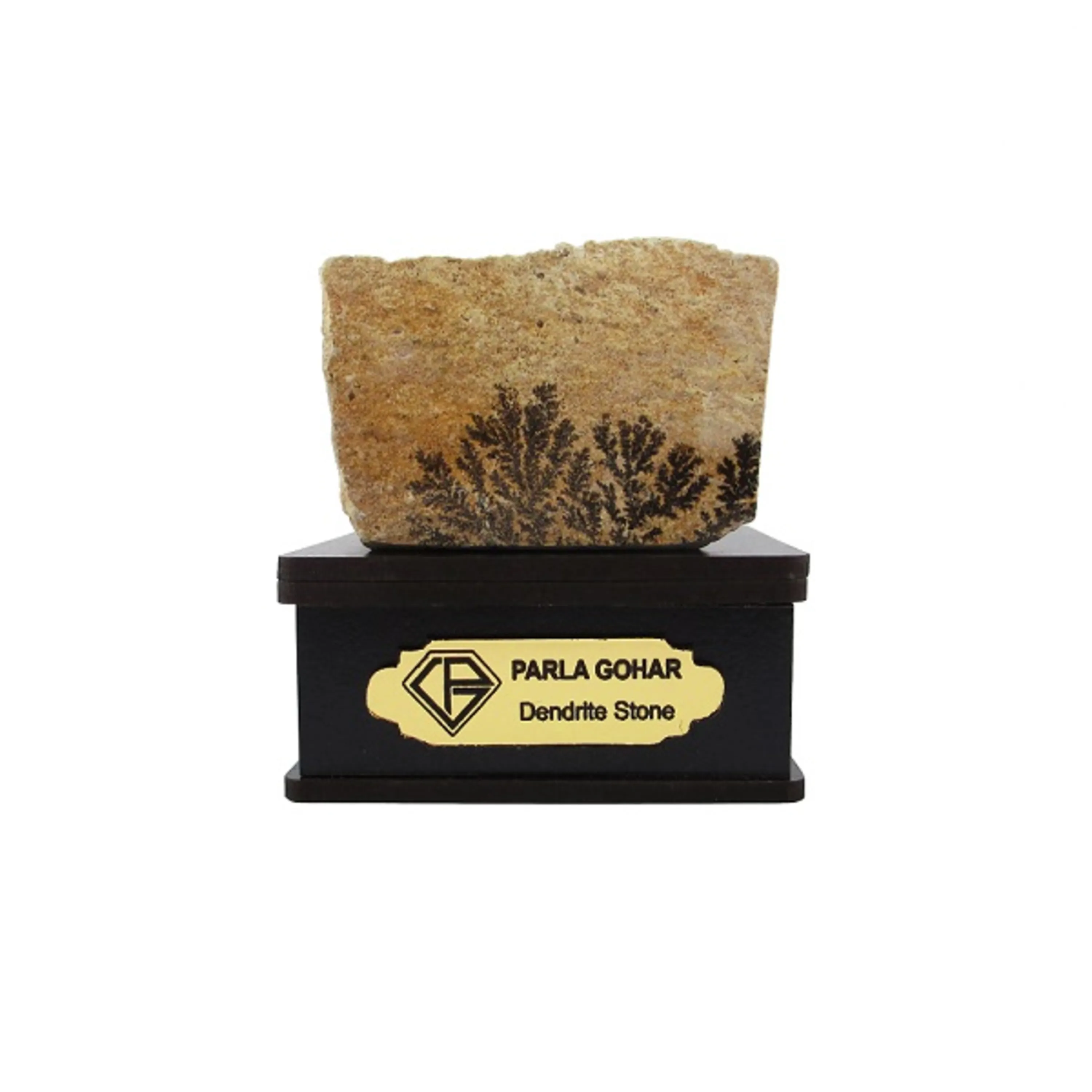 شجر راف کد 2352